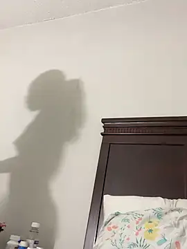 Snapshot of 1prettygem chatting on December 20, 11:05 pm 1prettygem online show from December 20, 11:05 pm