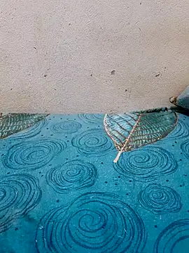 Linda-53 online show from March 27, 8:30 pm