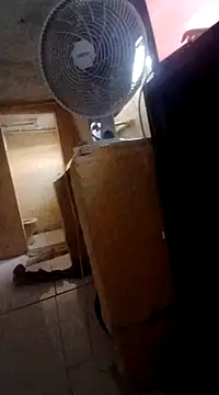 frotasso online show from March 4, 2:42 pm