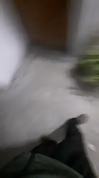 Ritikdesi online show from February 25, 4:53 pm