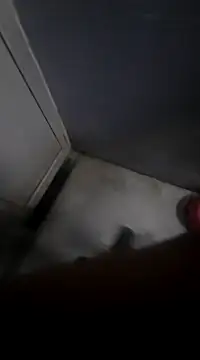 Ritikdesi online show from March 2, 5:23 am