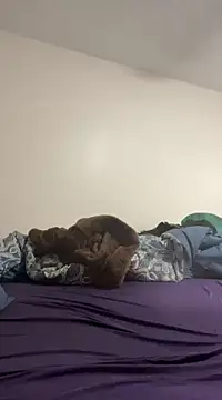 Snapshot of daddymaniaco69 chatting on December 28, 4:52 pm daddymaniaco69 online show from December 28, 4:52 pm