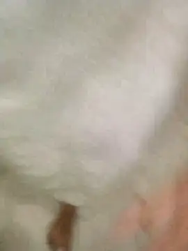 Snapshot of Bombi22 chatting on December 30, 8:15 pm Bombi22 online show from December 30, 8:15 pm