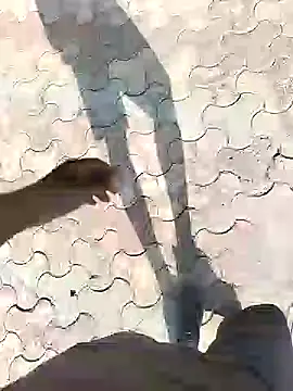 chootkapyasa007 online show from September 13, 10:48 am