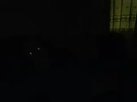 farock online show from January 11, 5:52 am