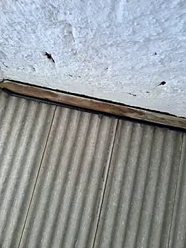 alexjs84 online show from November 22, 3:44 pm