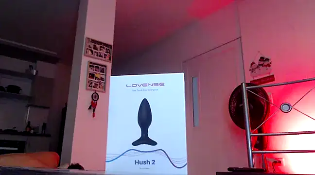 Snapshot of GamerQuinn chatting on December 18, 3:22 pm GamerQuinn online show from December 18, 3:22 pm