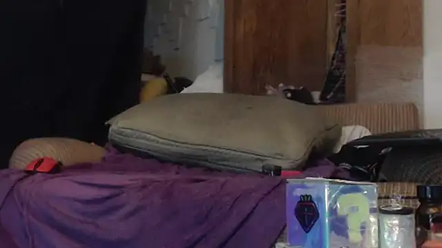 Snapshot of SecZorgan chatting on November 1, 3:03 pm SecZorgan online show from November 1, 3:03 pm