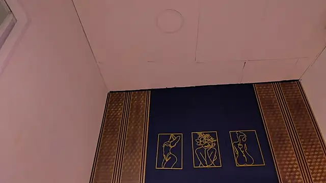  dakota a online show from January 8, 9:44 pm