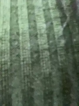 Snapshot of Rosita_forever_ chatting on February 24, 4:15 pm Rosita forever online show from February 24, 4:15 pm