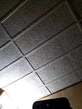 zaneporter46 online show from February 25, 3:42 am