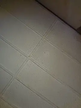 zaneporter46 online show from October 31, 9:05 pm