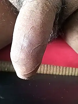 Arasu  online show from February 1, 10:48 am