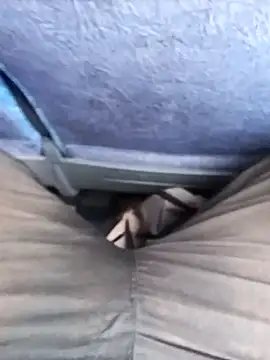 Arasu  online show from September 19, 8:09 pm