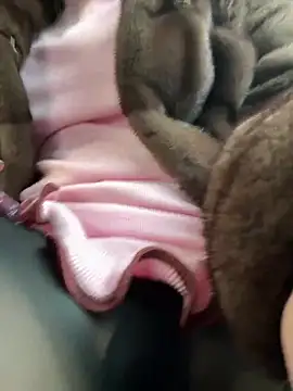 Snapshot of AndreaMood chatting on February 1, 6:43 am AndreaMood online show from February 1, 6:43 am