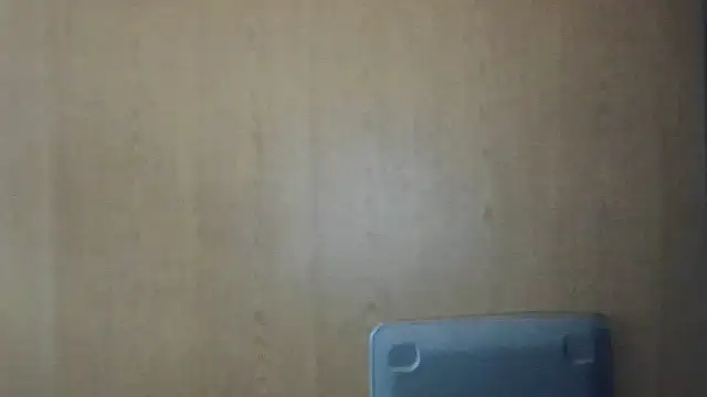 Dnasty408 online show from November 13, 4:17 pm