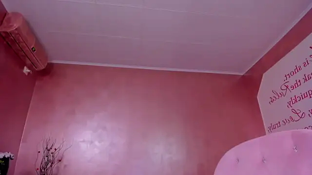 evanew  online show from February 3, 12:47 am