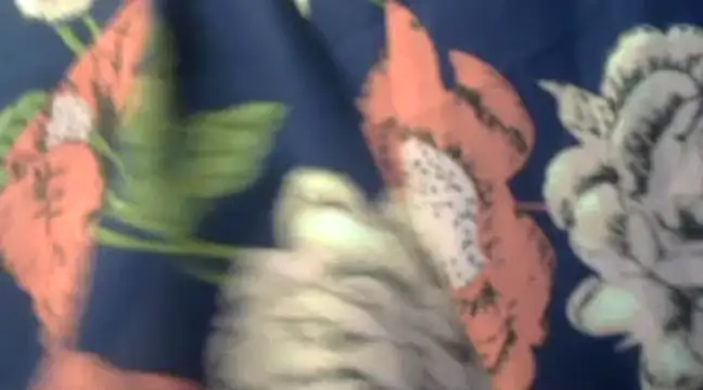 Snapshot of Naughty_Nayra chatting on February 3, 3:31 am Naughty Nayra online show from February 3, 3:31 am