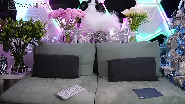 taanni bc online show from January 31, 12:28 am