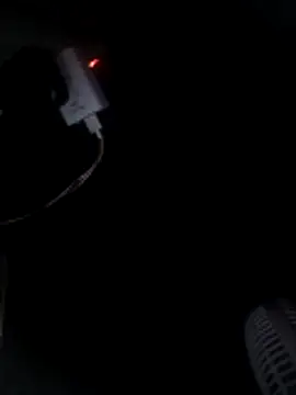 cusicat online show from November 23, 7:19 am