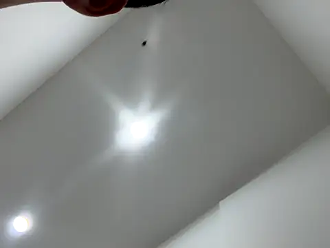 Sexocokin online show from December 16, 1:16 pm