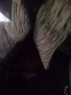 muskan-Sharma online show from March 18, 4:04 am