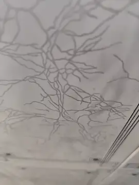 Snapshot of dreamers_dick chatting on January 2, 4:13 pm dreamers dick online show from January 2, 4:13 pm