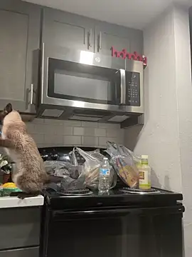 ParkerGYATT online show from April 9, 12:54 am