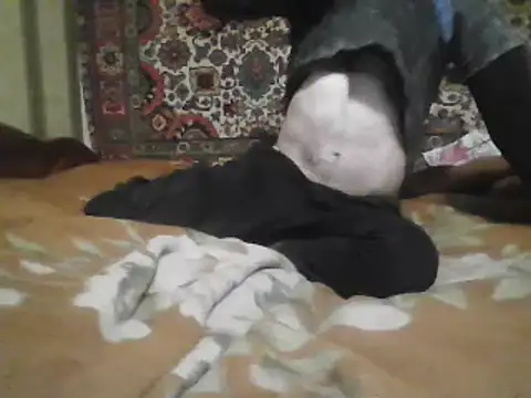 AlferezzSolvajo online show from March 21, 5:34 pm