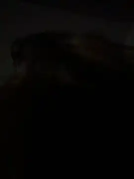 Kitty DaCocks online show from January 7, 12:13 am