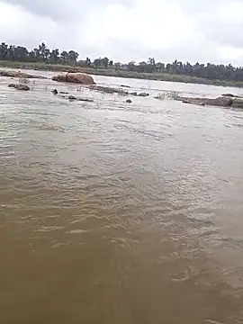 aryan 8051 online show from October 29, 5:31 am