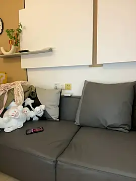 csck2025 online show from February 26, 11:41 am