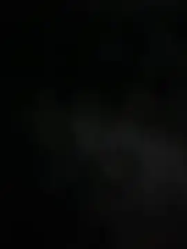 mdnn77 online show from February 19, 8:33 am