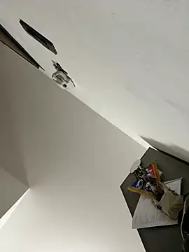 Snapshot of ilmaestoso chatting on February 21, 7:23 am ilmaestoso online show from February 21, 7:23 am