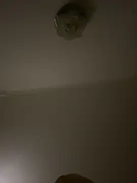                     88 online show from March 7, 4:15 pm