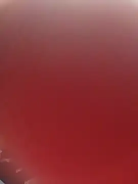 blondaf online show from November 25, 5:29 am