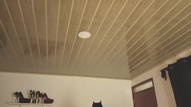 Snapshot of Renaxi_Smith chatting on October 31, 7:59 pm Renaxi Smith online show from October 31, 7:59 pm