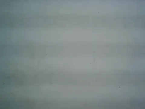 Snapshot of michel1520 chatting on July 20, 11:34 am michel1520 online show from July 20, 11:34 am