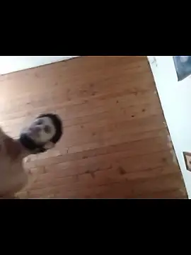 nxus77 online show from December 15, 6:39 am