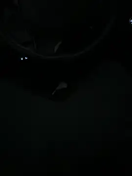 Snapshot of DutchPublic chatting on January 19, 4:36 pm DutchPublic online show from January 19, 4:36 pm