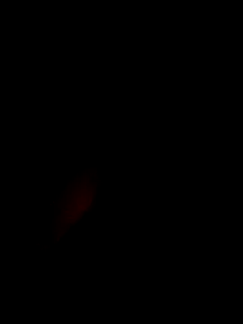 xxxxGuruxxxx online show from March 10, 6:38 am