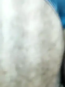 HGKNSS online show from April 10, 6:34 pm