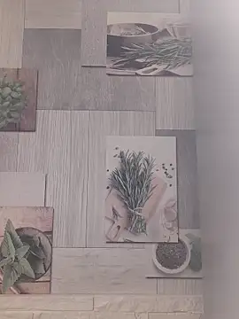 Snapshot of Anesteishen chatting on December 3, 5:04 am Anesteishen online show from December 3, 5:04 am