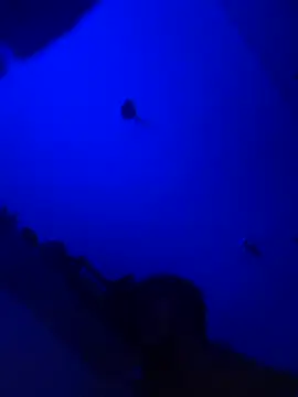 Raziv komal143 online show from February 25, 12:14 am