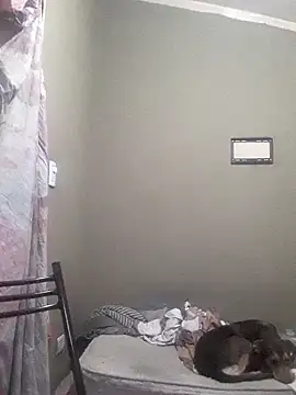 EstebanAkyLu online show from April 27, 2:09 am