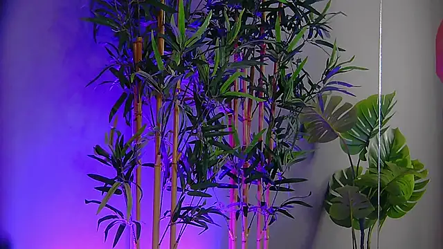 PatriciaSpice online show from November 9, 5:28 am