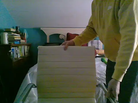 Prolapse Pig online show from February 3, 6:17 pm