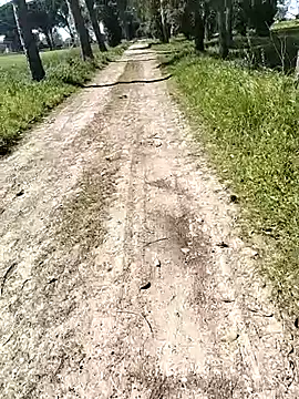 arveia online show from April 4, 12:57 pm