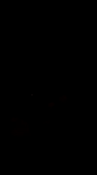 Raj41 online show from March 1, 5:05 pm