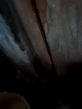 Raj41 online show from November 28, 1:19 am